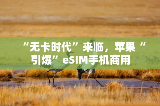 详细阅读:“无卡时代”来临,苹果“引爆”eSIM手机商用 “无卡时代”来临,苹果“引爆”eSIM手机商用