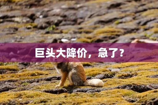 详细阅读:巨头大降价,急了? 巨头大降价,急了?