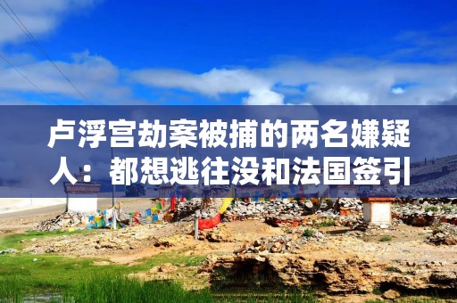 卢浮宫劫案被捕的两名嫌疑人：都想逃往没和法国签引渡条约的非洲国家，均有盗窃前科