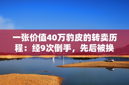 一张价值40万豹皮的转卖历程：经9次倒手，先后被换牛马、皮卡车等！10人获刑