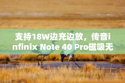 支持18W边充边放，传音infinix Note 40 Pro磁吸无线充电宝拆解