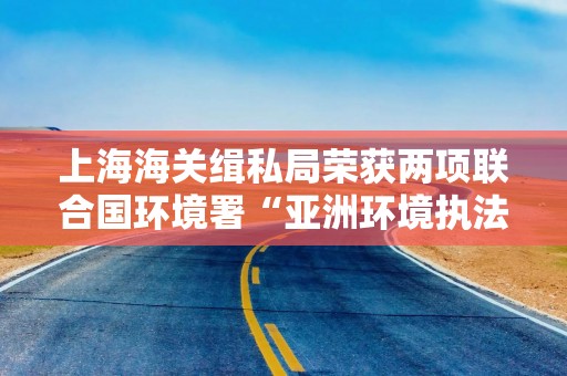 详细阅读:上海海关缉私局荣获两项联合国环境署“亚洲环境执法卓越奖” 上海海关缉私局荣获两项联合国环境署“亚洲环境执法卓越奖”