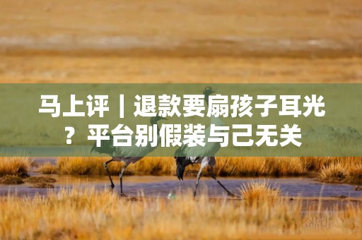 马上评｜退款要扇孩子耳光？平台别假装与己无关