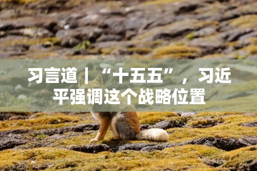 习言道｜“十五五”，习近平强调这个战略位置