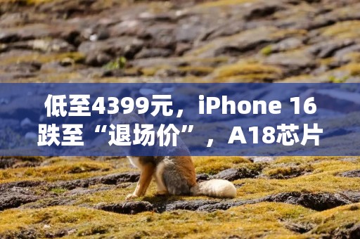 低至4399元，iPhone 16跌至“退场价”，A18芯片加持，还能用五年