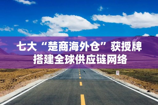 七大“楚商海外仓”获授牌 搭建全球供应链网络