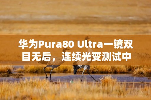 华为Pura80 Ultra一镜双目无后，连续光变测试中