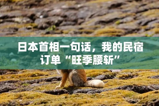 日本首相一句话，我的民宿订单“旺季腰斩”