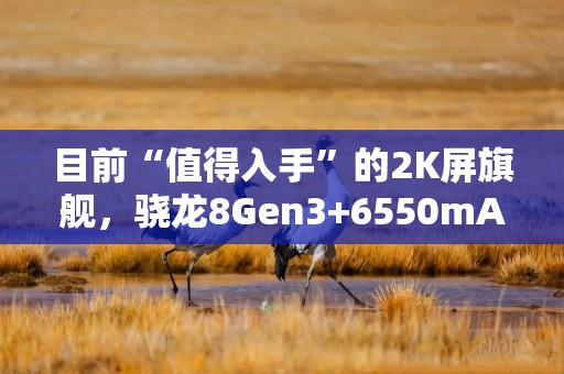 目前“值得入手”的2K屏旗舰，骁龙8Gen3+6550mAh，从2499降至1619元