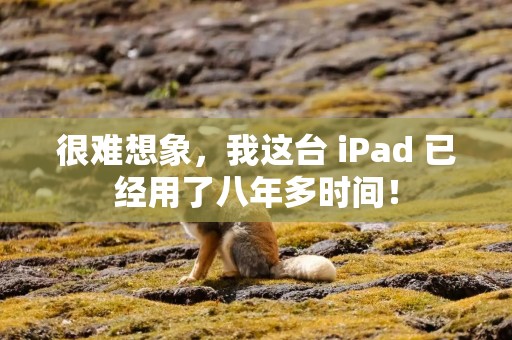 很难想象，我这台 iPad 已经用了八年多时间！
