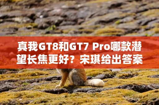 真我GT8和GT7 Pro哪款潜望长焦更好？宋琪给出答案！选谁？一目了然