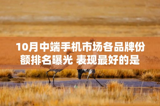 10月中端手机市场各品牌份额排名曝光 表现最好的是……