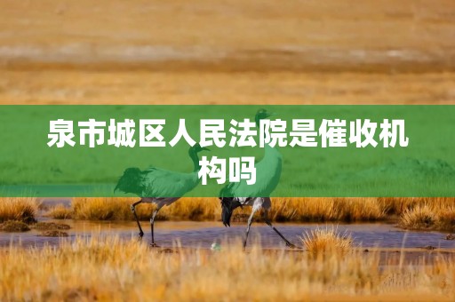 泉市城区人民法院是催收机构吗