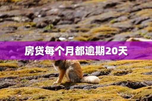 房贷每个月都逾期20天
