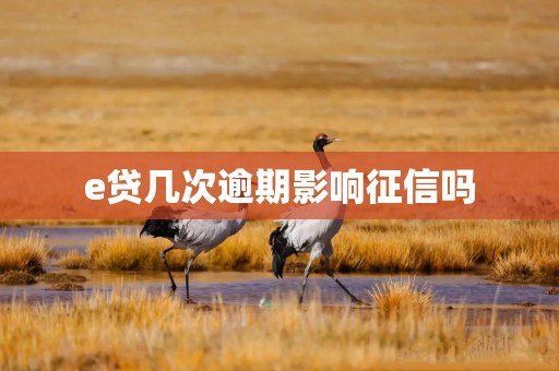 e贷几次逾期影响征信吗