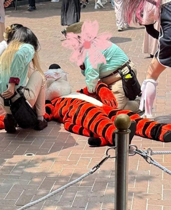 上海迪士尼跳跳虎演职人员中暑晕倒，园方：已第一时间提供医疗救助；从业者发声：每次演出后人都是湿的