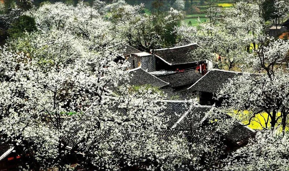 00后大学生拧螺丝送外卖,在工地抬钢筋练出腹肌,本人回应:想攒钱带爷爷奶奶进城游玩