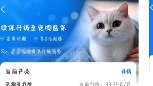 宠物保险热潮背后：理赔难、续保难、定点医院频繁变动