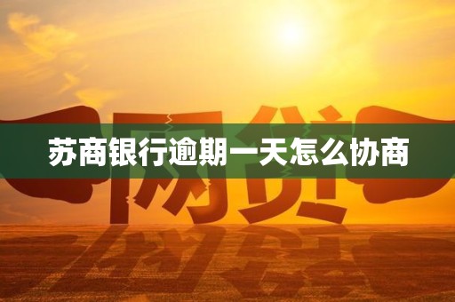 苏商银行逾期一天怎么协商
