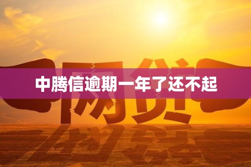 中腾信逾期一年了还不起