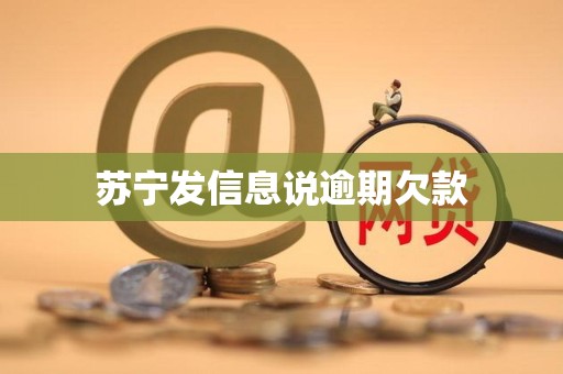 苏宁发信息说逾期欠款