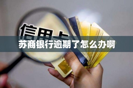 苏商银行逾期了怎么办啊
