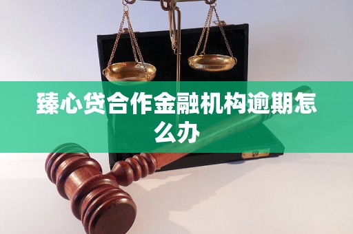 臻心贷合作金融机构逾期怎么办
