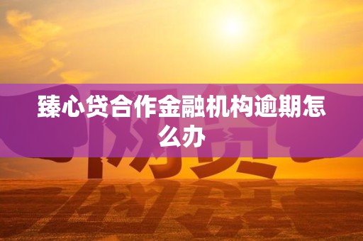 臻心贷合作金融机构逾期怎么办