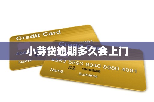 小芽贷逾期多久会上门