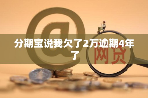 分期宝说我欠了2万逾期4年了