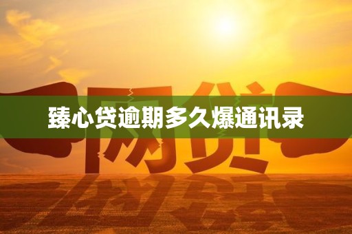 臻心贷逾期多久爆通讯录