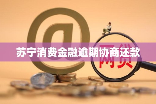 苏宁消费金融逾期协商还款