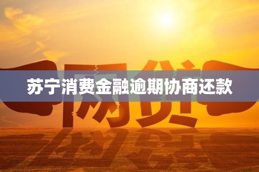 苏宁消费金融逾期协商还款