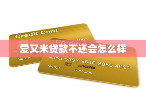 爱又米贷款不还会怎么样