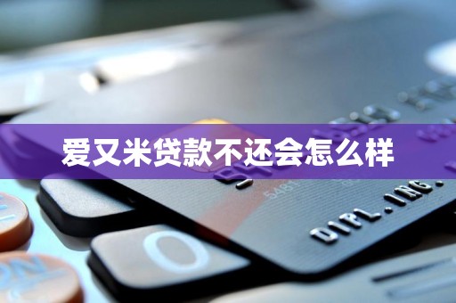 爱又米贷款不还会怎么样