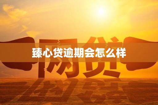 臻心贷逾期会怎么样