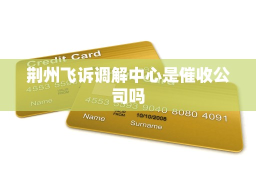 荆州飞诉调解中心是催收公司吗