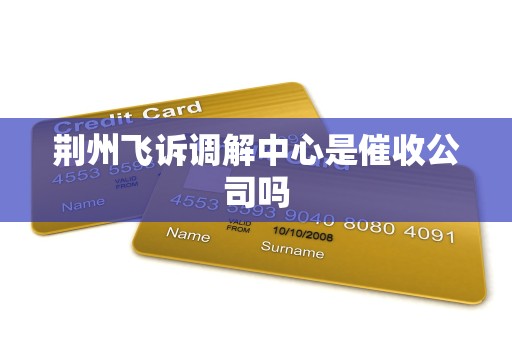 荆州飞诉调解中心是催收公司吗