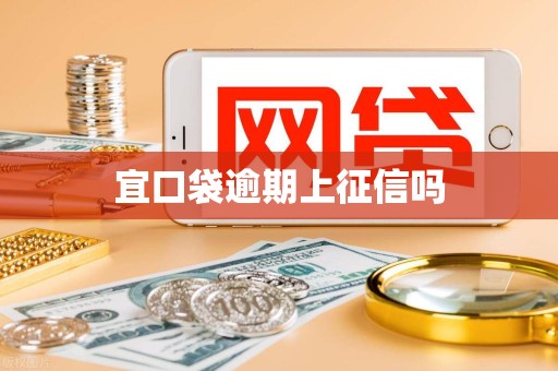 宜口袋逾期上征信吗