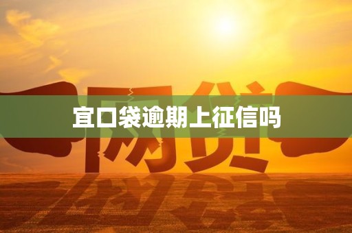 宜口袋逾期上征信吗