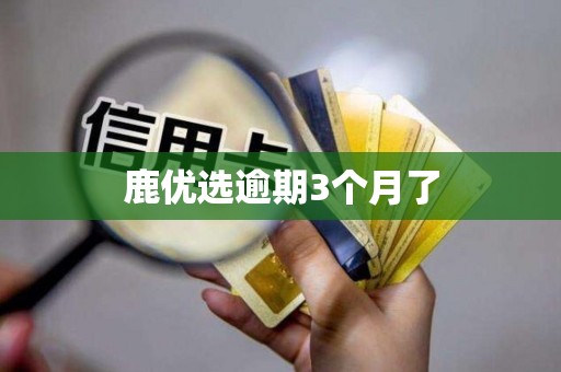 鹿优选逾期3个月了