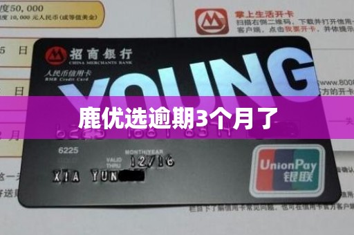 鹿优选逾期3个月了