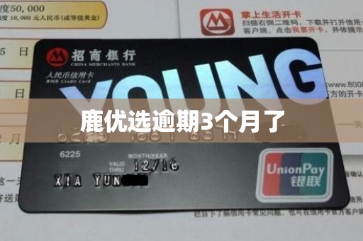 鹿优选逾期3个月了