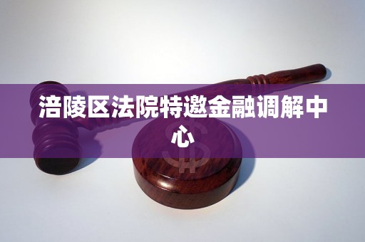 涪陵区法院特邀金融调解中心