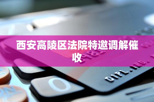 西安高陵区法院特邀调解催收