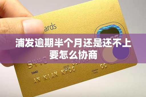 浦发逾期半个月还是还不上要怎么协商