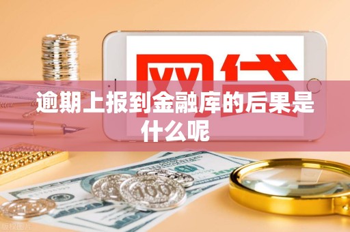 逾期上报到金融库的后果是什么呢