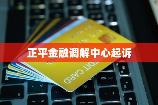 正平金融调解中心起诉