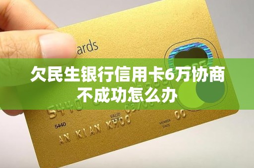 欠民生银行信用卡6万协商不成功怎么办