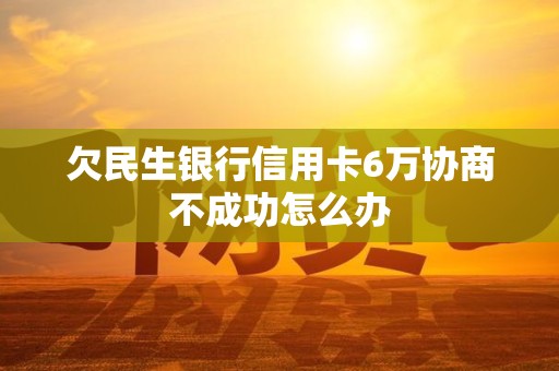 欠民生银行信用卡6万协商不成功怎么办